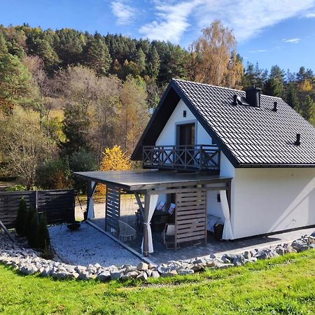 Lesny Zaulek Villa Muszyna Ngoại thất bức ảnh