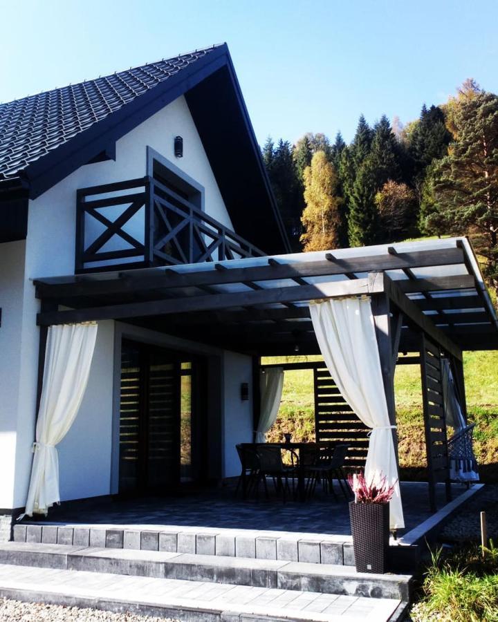 Lesny Zaulek Villa Muszyna Ngoại thất bức ảnh